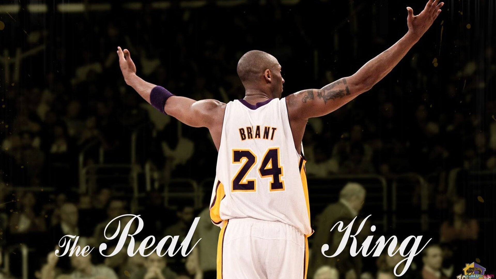 “马丁·高尔西的技术突破:美洲狮队防守体系的核心”