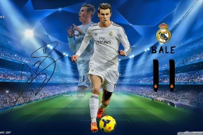 国家体育科技研究所发布新型体能评估系统技术白皮书，国家体育总局体能测试标准