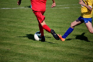 开云网页-LPL多个队伍重组计划曝光转会期极度混乱，lpl战队转会期